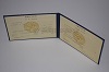 Стоимость диплома техникума УзбекАССР 1975-1991 г. в Балее (Забайкальский Край)