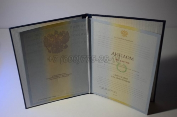 Диплом Института 2010г в Чите